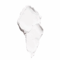 L'Occitane Shea Butter Hand Cream -Care Product Store L OccitaneSheaButterHandCream150