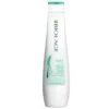 Matrix Biolage Scalp Sync Antidandruff Shampoo
