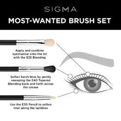 Sigma Most Wanted Brush Set 9 Sigma Most Wanted Brush Set -Care Product Store Most Wanted Brush Set info2