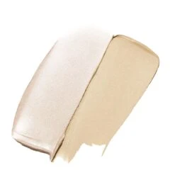 By Terry Nude-Expert Duo Stick -Care Product Store N2.5 swatch